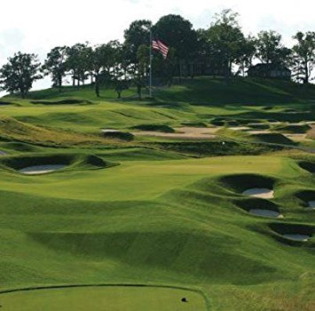 Outsidepride PC2.0 Penncross creeping bentgrass seed for tees and fairways, high-traffic wear resistance.