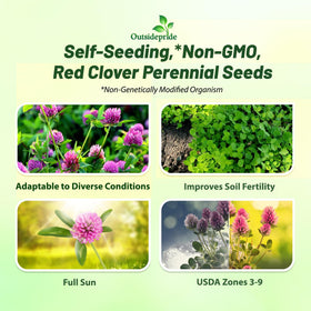 Outsidepride perennial red clover seeds 10 lbs inoculated coating supports rapid germination.