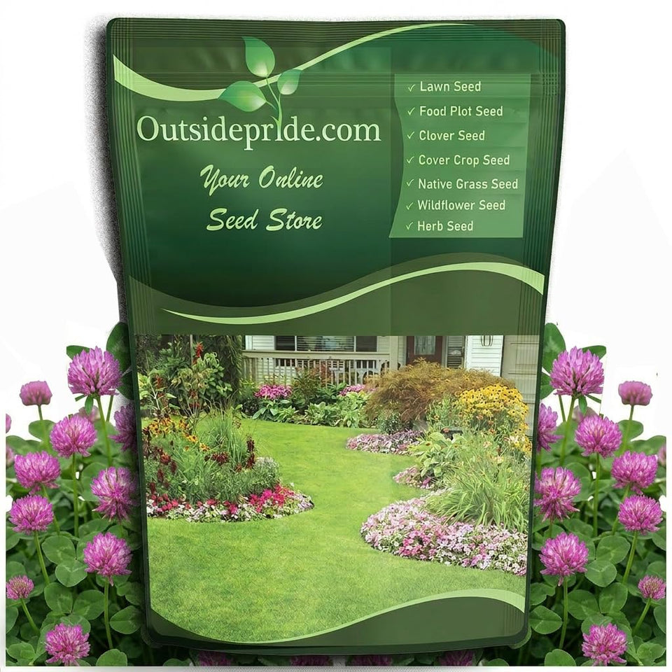 Outsidepride perennial red clover seeds 10 lbs packaging promotes easy planting with inoculation.