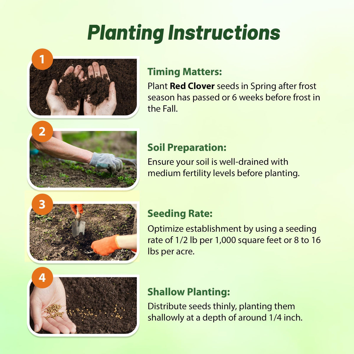 Outsidepride perennial red clover seeds 10 lbs seeding rate guide helps establish a lush cover.