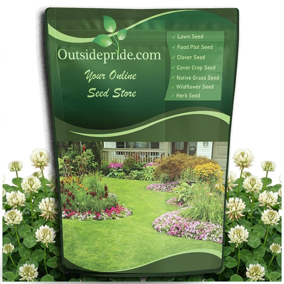 Outsidepride perennial white Dutch clover seed 5-lb bag for lawn alternatives.
