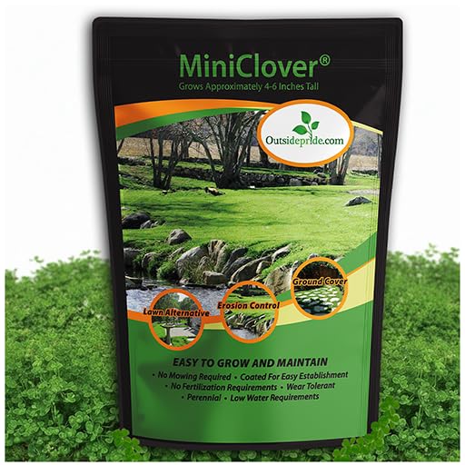 Outsidepride miniclover seed pack image; easy lawn transformation for low-maintenance yards.