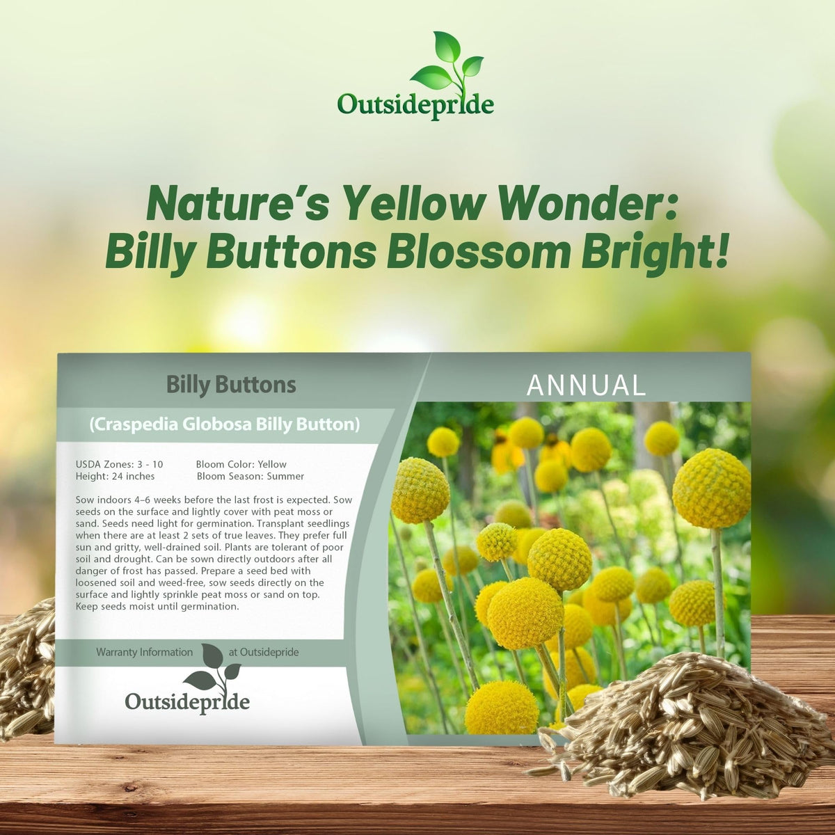 Pollinator-friendly blooms attract bees, adding life to outdoor spaces with Outsidepride.