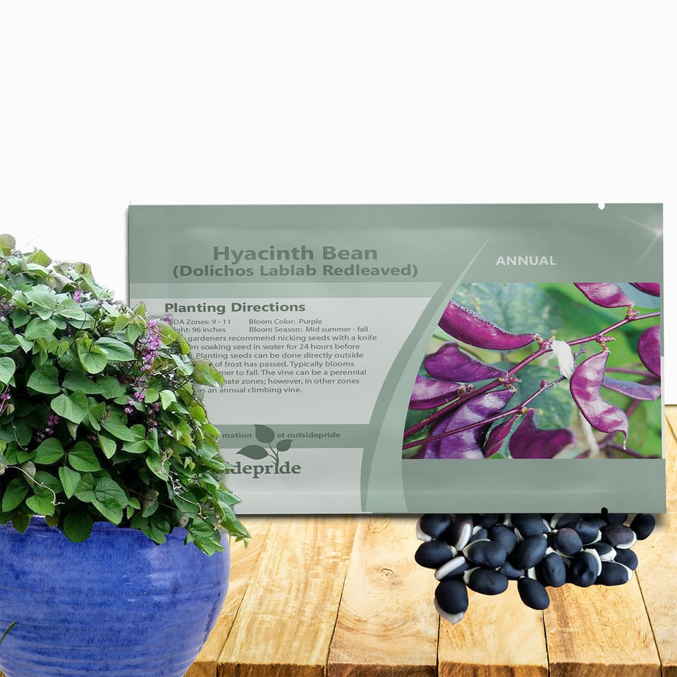 Outsidepride red Lablab Hyacinth Bean vine seeds for vibrant color and edible garden display.
