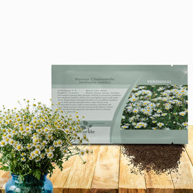 Outsidepride roman chamomile seeds packaging for easy perennial planting