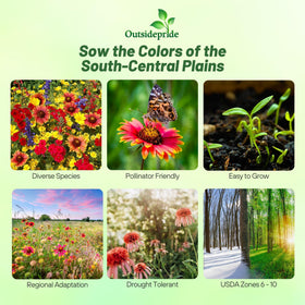 Outsidepride wildflower seed mix spread in garden for broad coverage