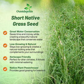 Outsidepride seed spread on soil, supporting sandy-soil lawn establishment in warm climates.