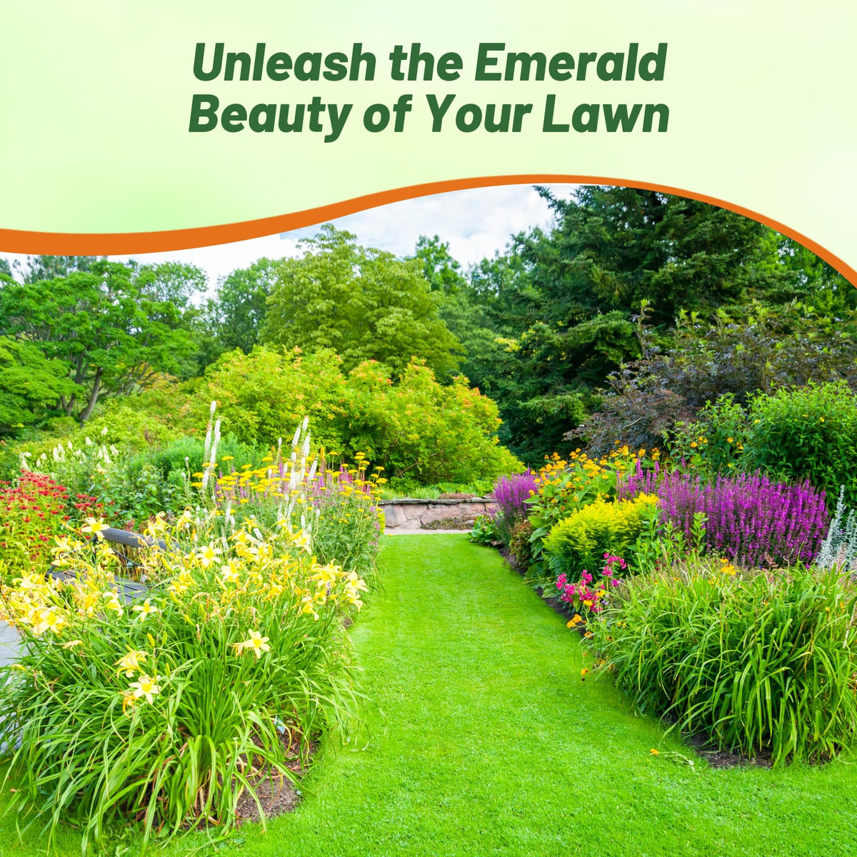 Outsidepride shade-to-sun performance blend provides lush lawn in varied light.