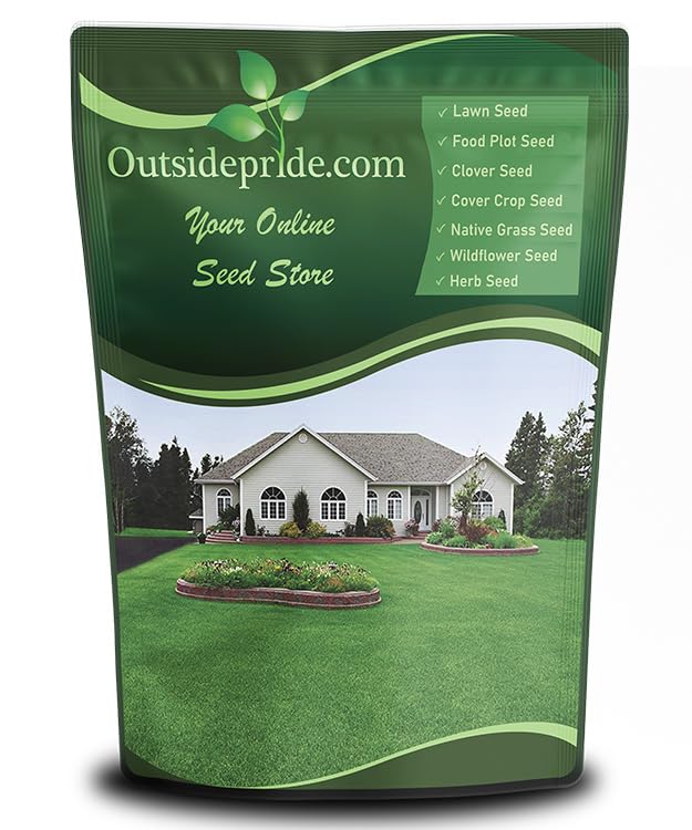 Outsidepride Sundancer buffalo grass seed bag for a drought-tolerant, low-maintenance lawn.