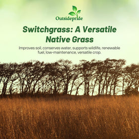 Outsidepride Switchgrass Seed supporting wildlife habitat and forage