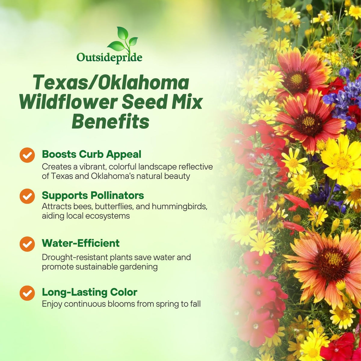 Outsidepride Texas & Oklahoma wildflower mix spring planting supports strong establishment.