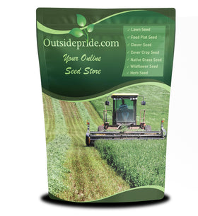 Outsidepride vernal alfalfa seeds packet ready for planting in lawns and pastures