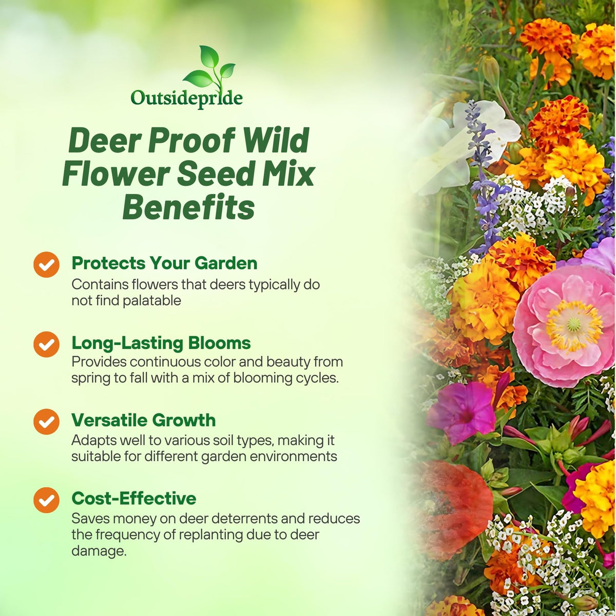 Outsidepride pollinator-friendly wildflower garden with nectar-rich blooms.