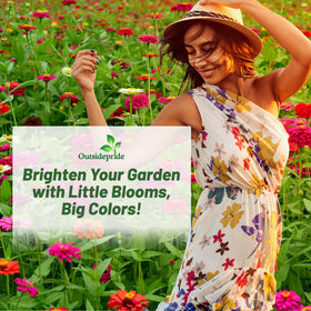 Outsidepride Zinnia Seeds brighten borders with durable, color-rich blooms.