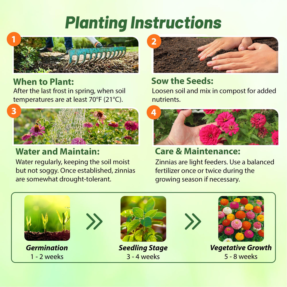 Outsidepride Zinnia Seeds for containers provide quick, vibrant summer color.
