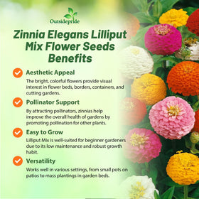 Outsidepride Zinnia Seeds attract butterflies and hummingbirds in pollinator-friendly gardens.