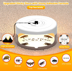 Outtkitywi dual-pack packaging image for easy shopping.