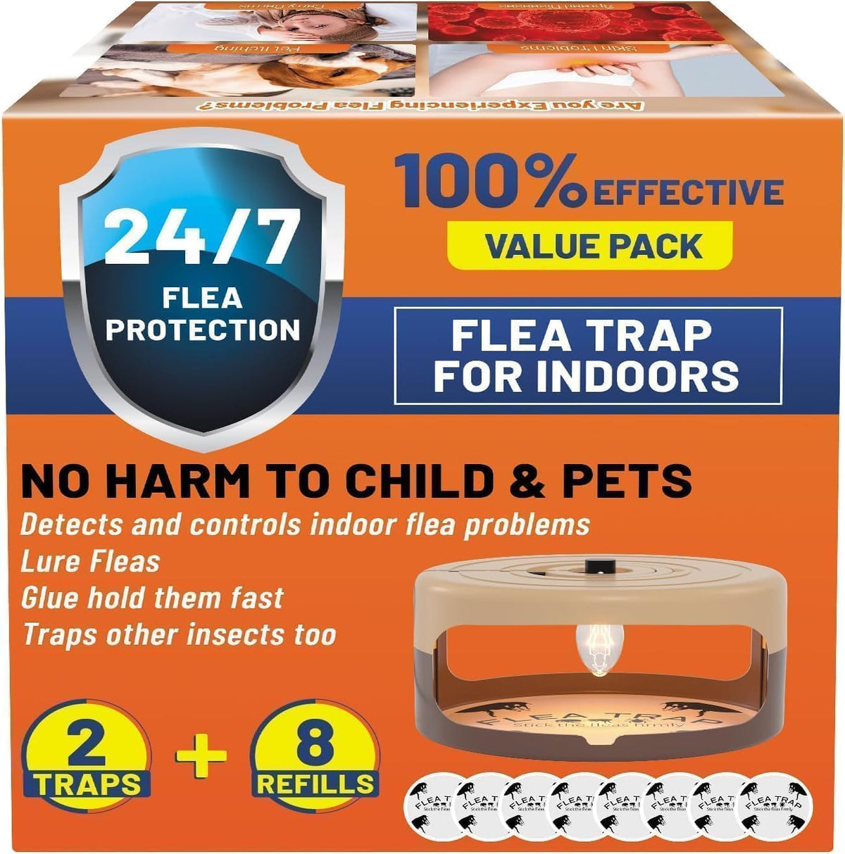 Outtkitywi flea trap in use shows infestation detection