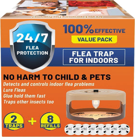 Outtkitywi flea trap in use shows infestation detection