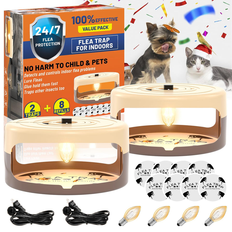 Outtkitywi flea trap light front view, compact indoor pest solution