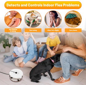Outtkitywi flea traps placed in a bedroom for pest control.