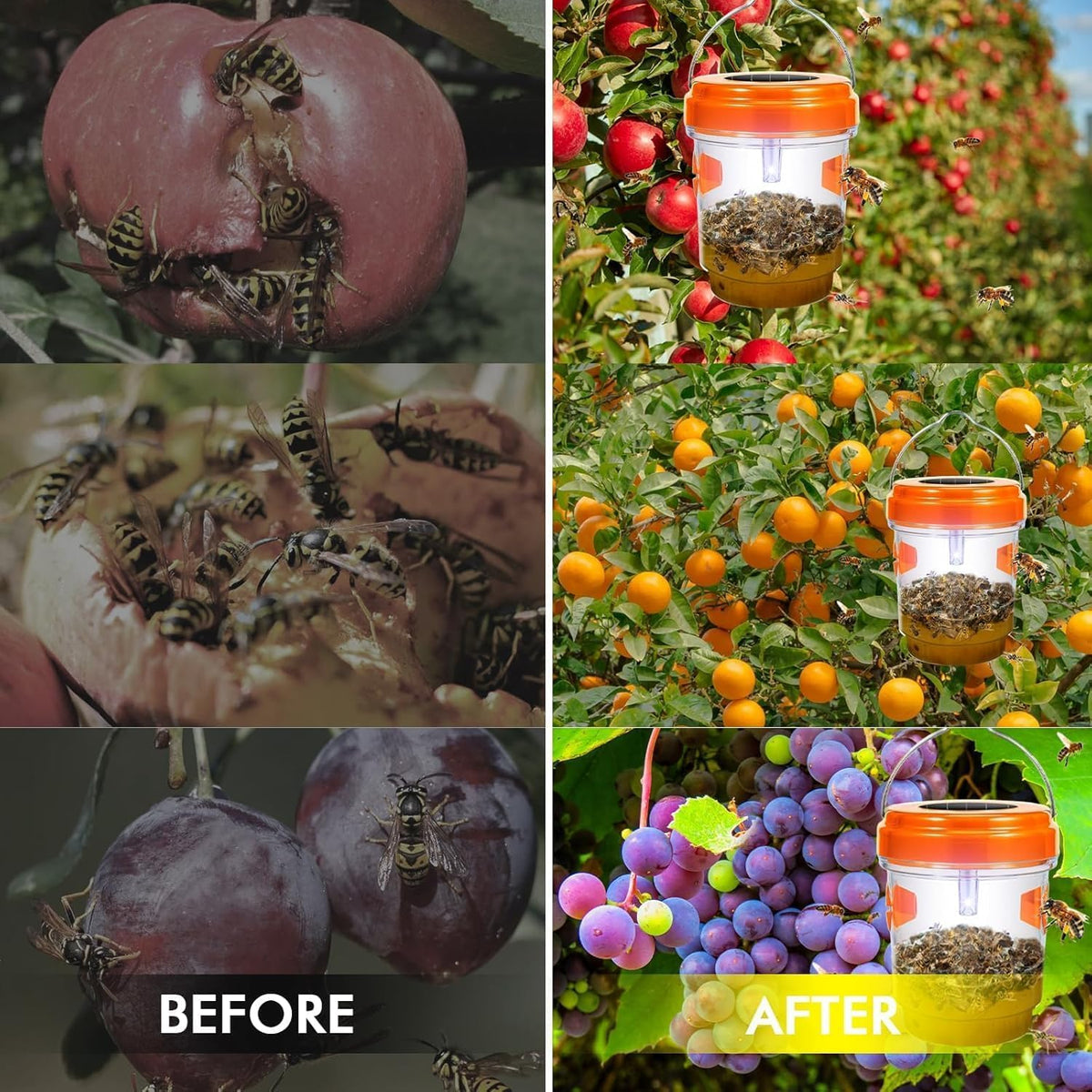 Outtkitywi Wasp Trap 3-pack offers convenient pest control