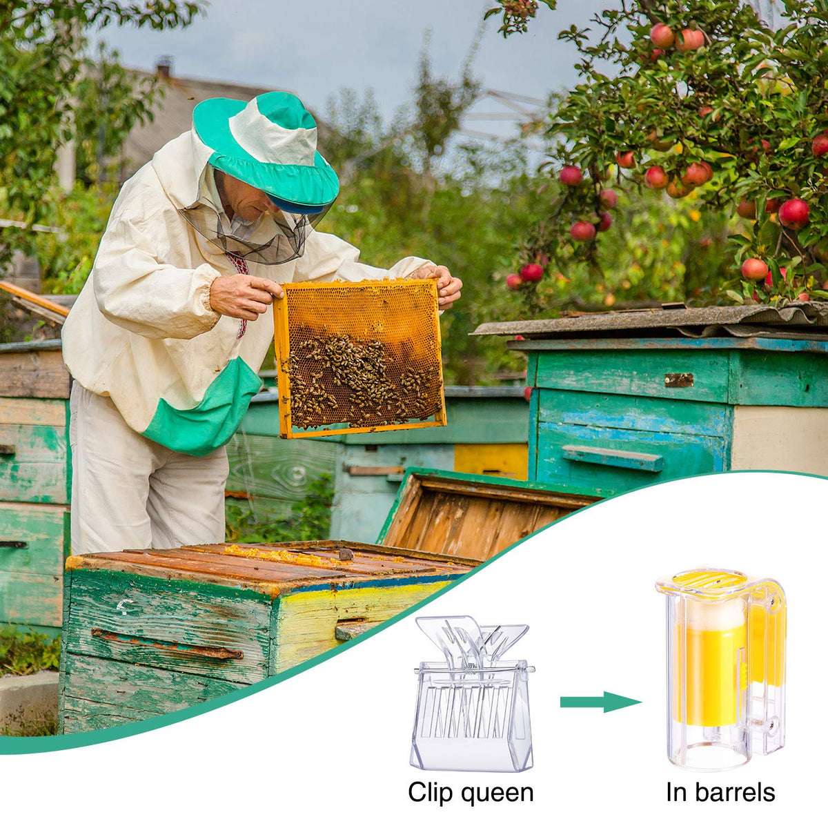 Outus plastic durable non toxic tools for long term beekeeping use.