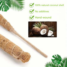 Outzen coconut shell fiber close-up highlights natural growing surface.