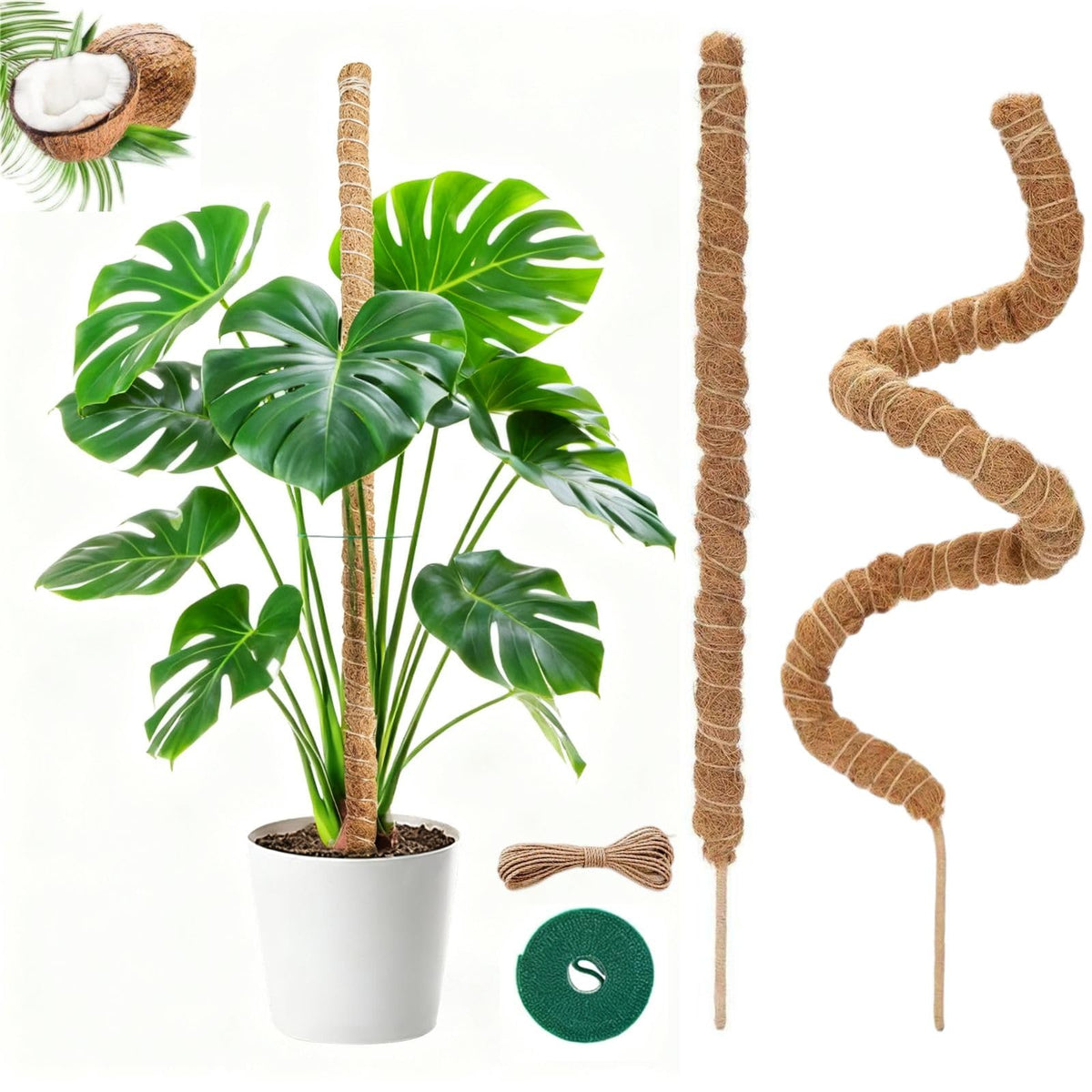 Outzen moss pole 27in 2-pack provides sturdy climbing plant support.