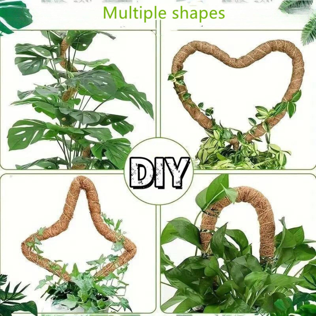 Outzen bendable moss pole in arch shape guides Monstera growth.