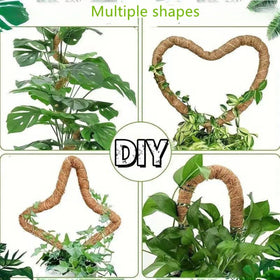 Outzen bendable moss pole in arch shape guides Monstera growth.