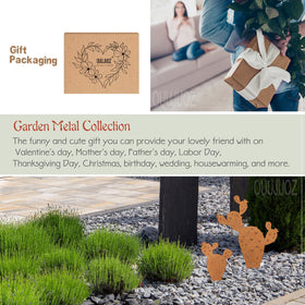 OUUJUOZ garden walkway cactus decor creates inviting garden corridors