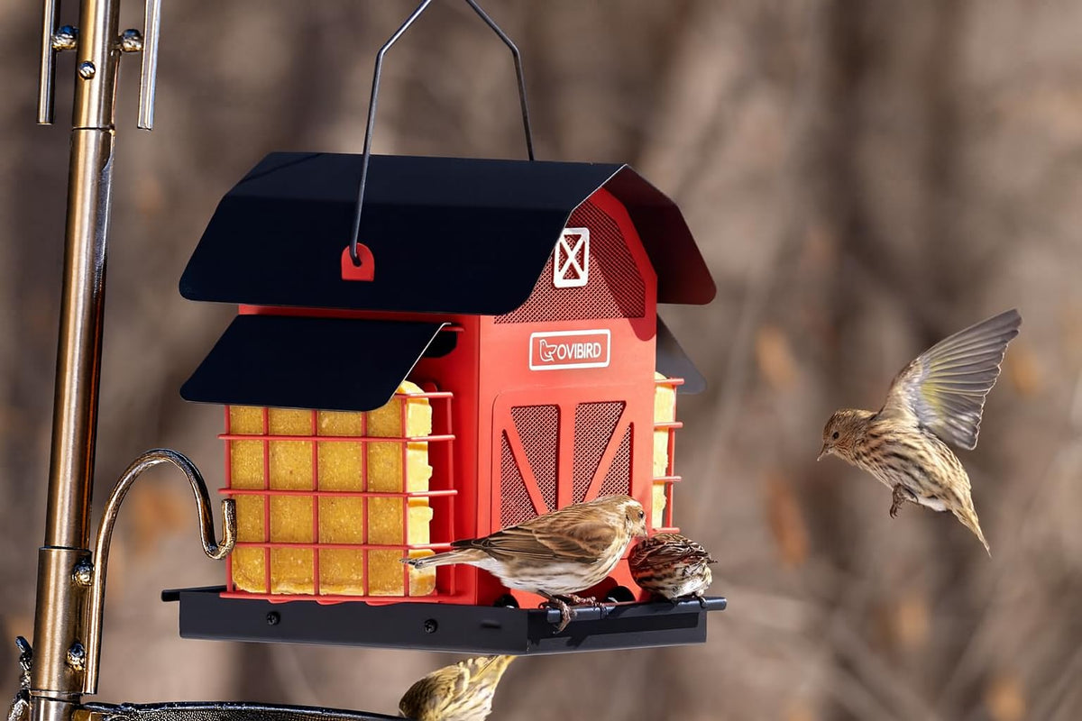 OVIBIRD 5lbs seed capacity feeder keeps seeds stocked during busy birdwatching days.