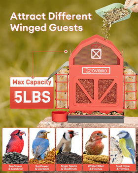 OVIBIRD dual suet cages attract varied species with versatile feeding options.