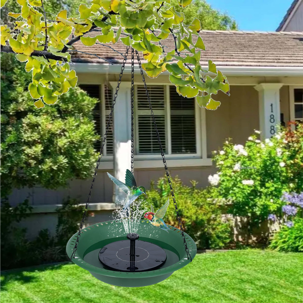 OVZILKI edge-wide bowl offers stable perches for multiple birds.