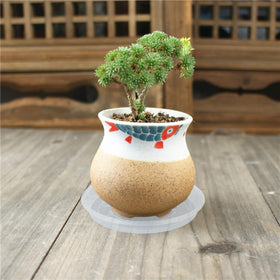 OVZILKI clear plant saucer 10-inch shields larger pots from spills
