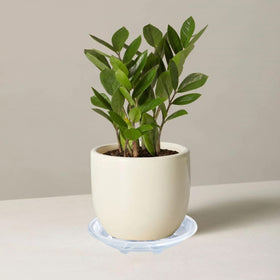 Bottom diameter 8.75 inches fits planters under 8.7 inches