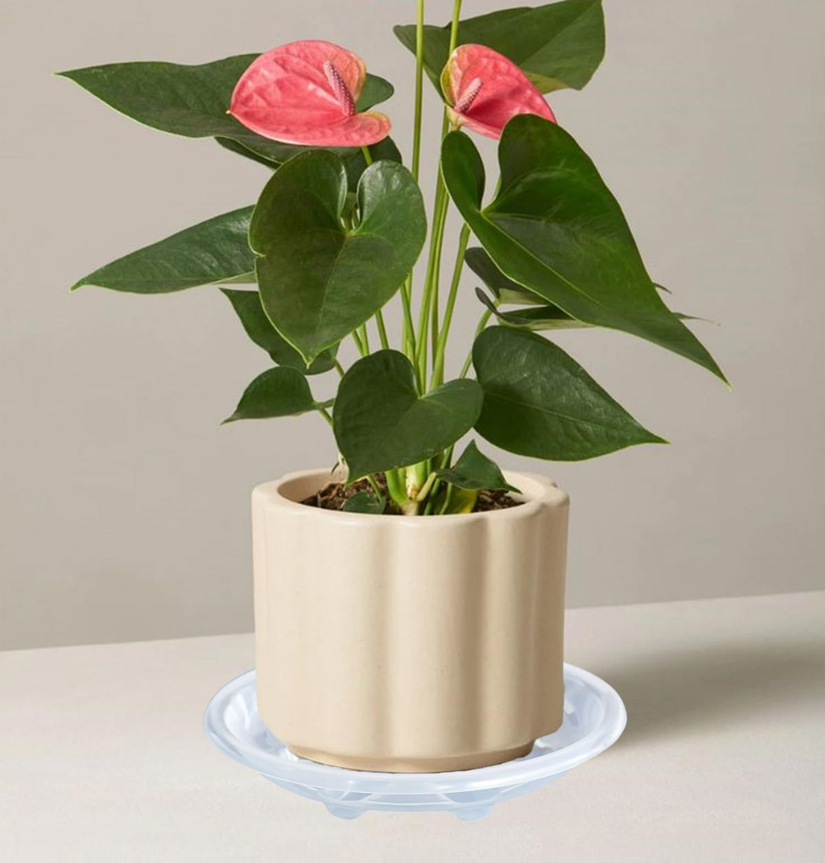 OVZILKI saucer easy to move with pots when rearranging