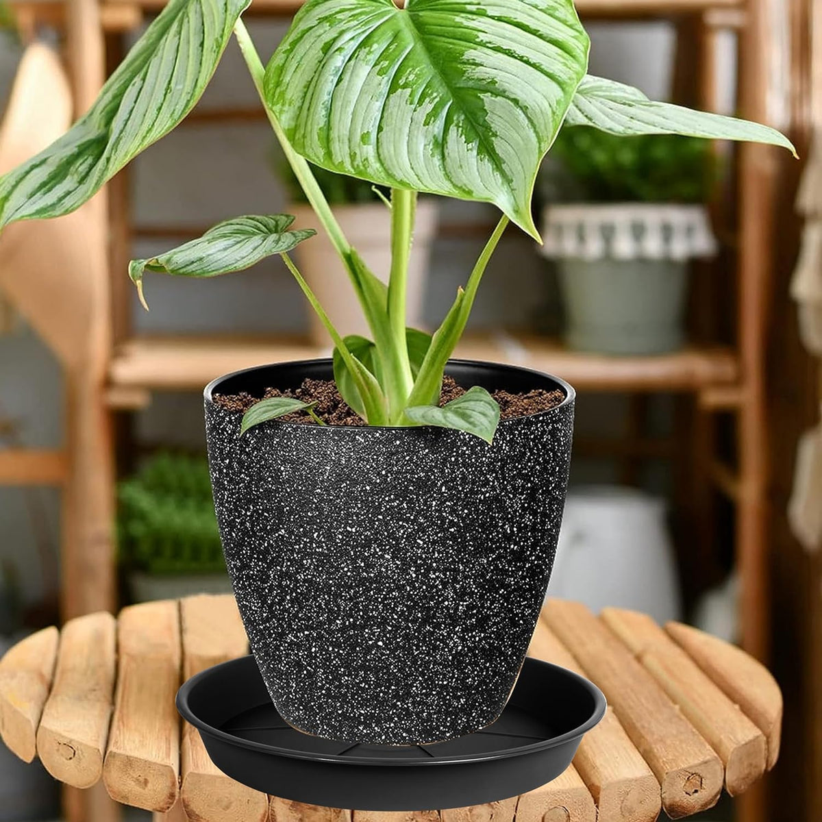 OVZILKI saucer in indoor and outdoor settings for drainage collection.