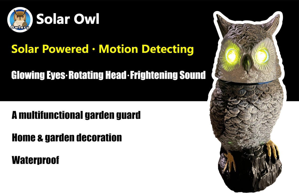 Owlery Brown Solar Owl silent mode for quiet evenings outside