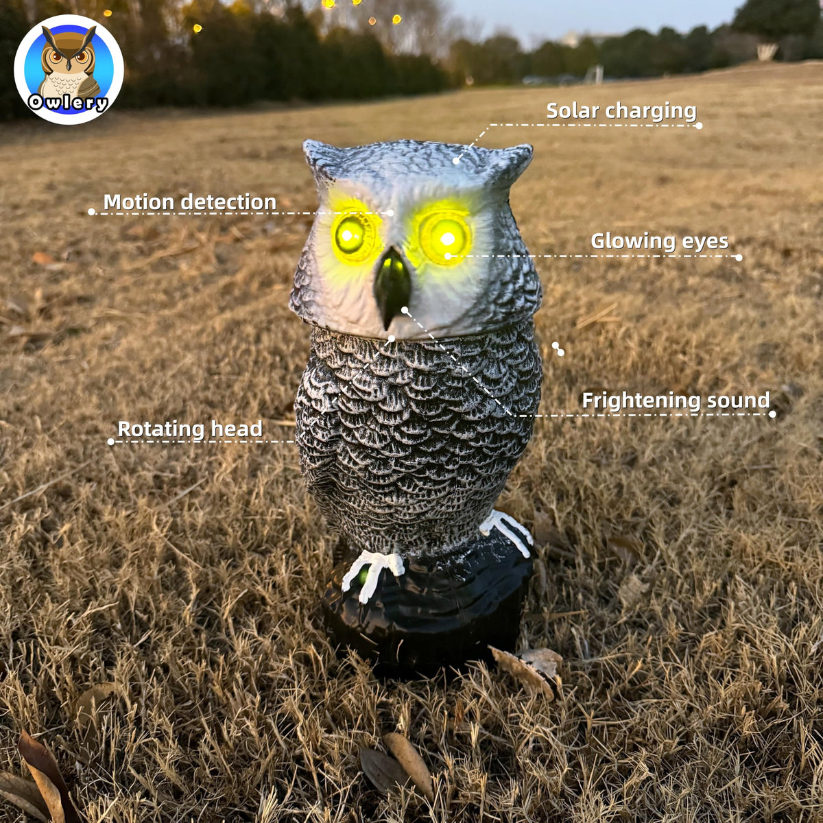 Owlery Snowy Solar Owl flashing eyes creates a lively display in any garden.