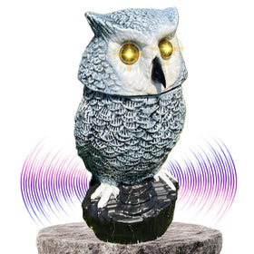 Owlery Snowy Solar Owl with motion detector brightens outdoor spaces, enhancing daytime interest and nighttime presence.