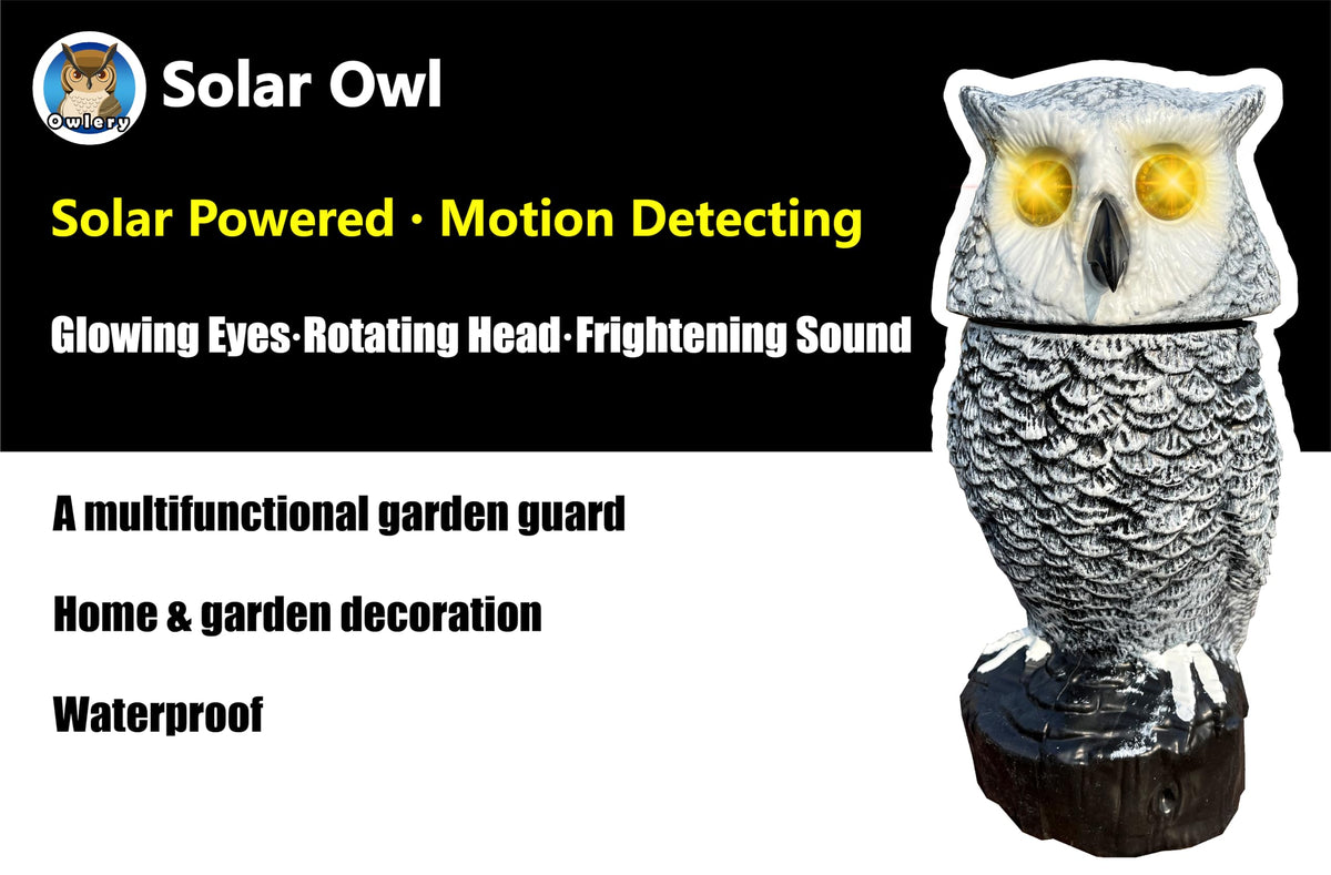 Owlery Snowy Solar Owl silent mode for quiet outdoor evenings.