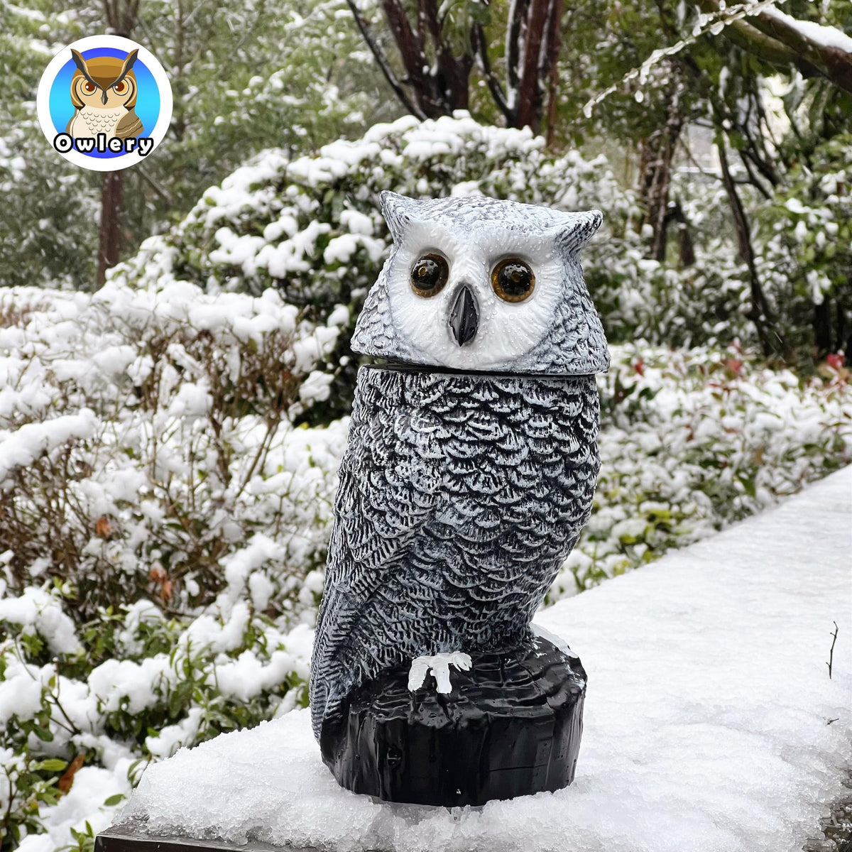 Owlery Snowy Solar Owl waterproof shell stands up to rain and drizzle.