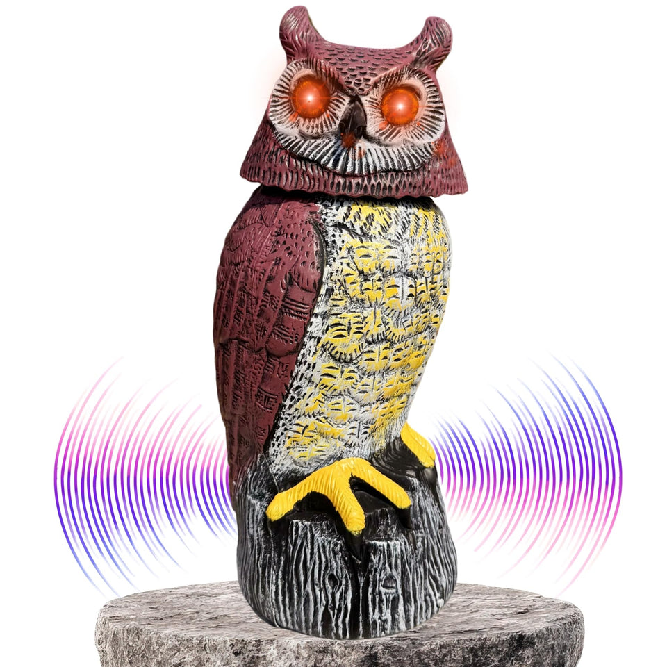 Owlery Solar Owl Guard with flashing eyes deters nighttime visitors.