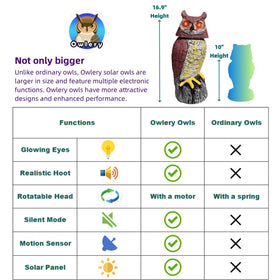 Owlery Solar Owl Guard detects movement and hoots to alert outdoors.