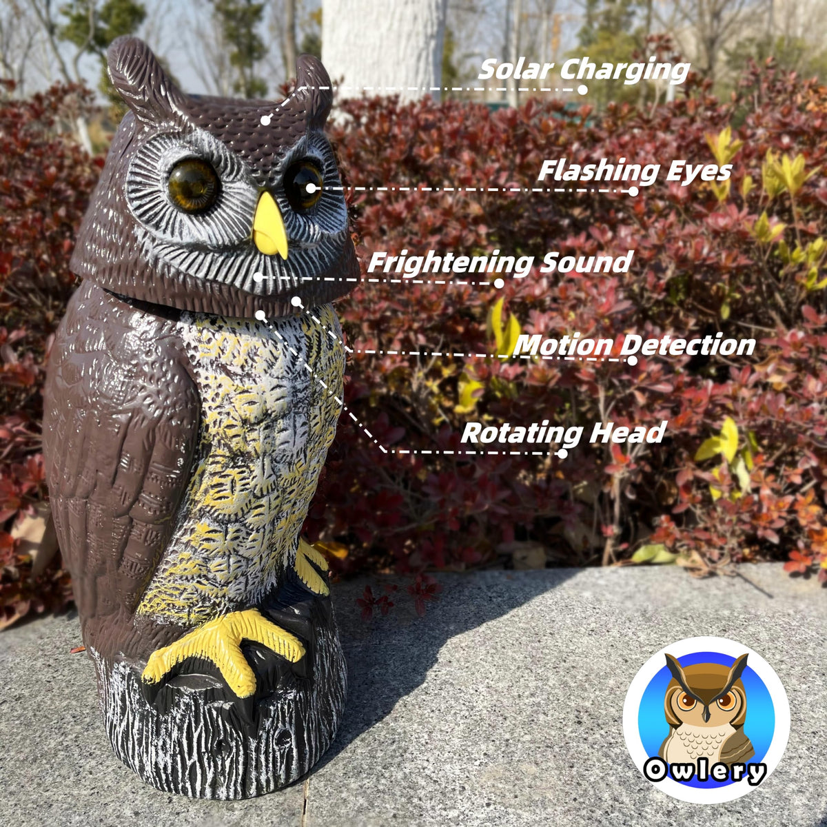 Owlery solar owl waterproof design withstands rain and weather.
