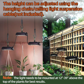Owleye ideal for greenhouse and outdoor garden use