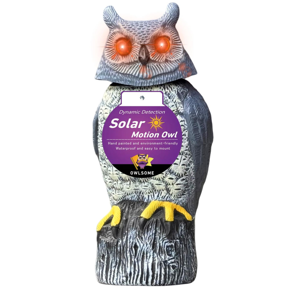 Owlsome solar owl with gradient eyes glowing red to green for evening charm