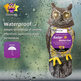 Owlsome Solar Owl emits a soft hoot for atmospheric outdoor evenings.